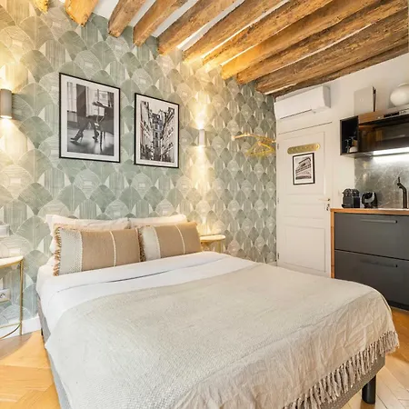 Superb Historical Next To Louvre And Opera Apartment Paris